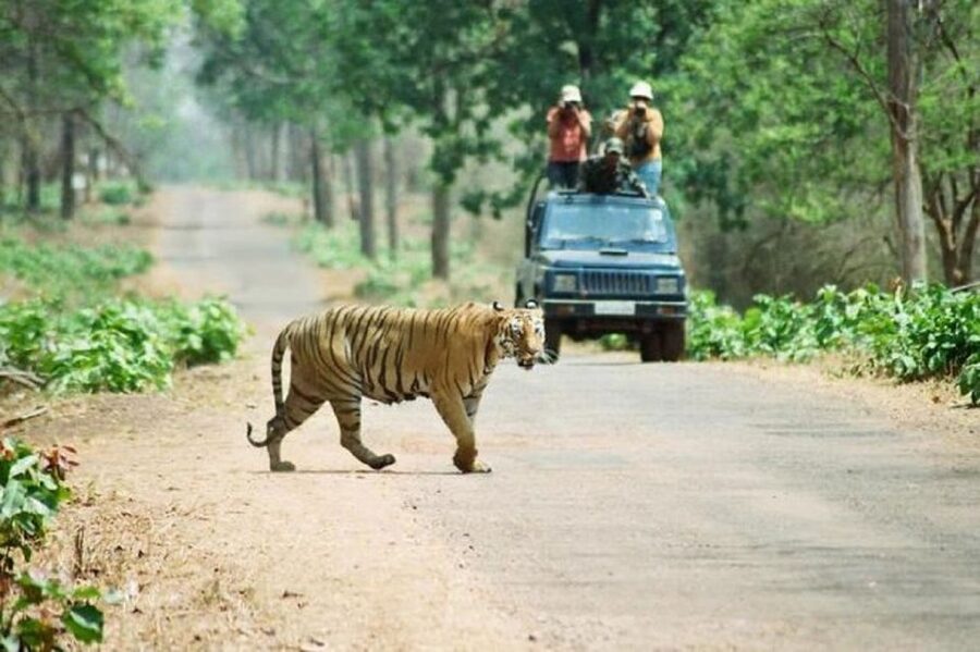 3-Day Chitwan Jungle Safari Adventure From Kathmandu/Pokhara - Sauraha, the Tharu Village, and Sunset on the Rapti