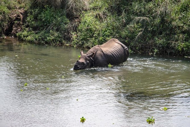 3-Day Chitwan Jungle Safari Tour from Kathmandu - Tharu village life and the first Chitwan afternoon