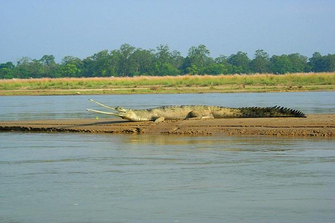 3-Day Chitwan Jungle Safari Tour from Kathmandu - Morning canoeing on the Rapti River