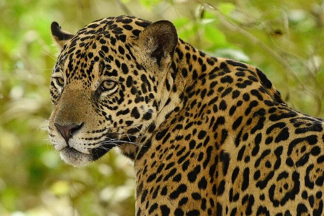 3 Day Chitwan National Park, Jungle Safari Package all Inclusive - Key Points Before You Book