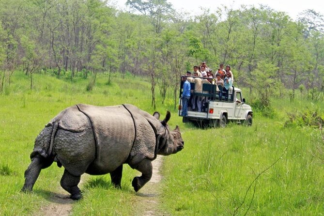 3 Day Chitwan National Park, Jungle Safari Package all Inclusive - Why Three Days Works Well in Chitwan