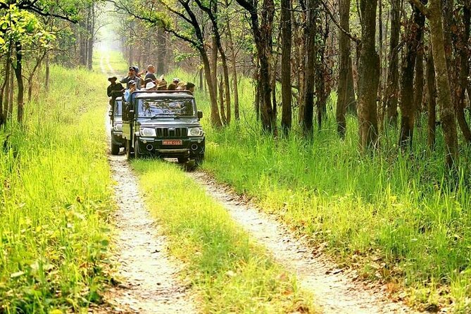 3 Day Chitwan National Park, Jungle Safari Package all Inclusive - Day 3: Final Birdwatching and the Road Home