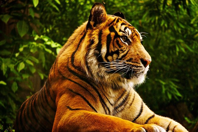3 Day Chitwan National Park, Jungle Safari Package all Inclusive - Who Will Like This Package Most