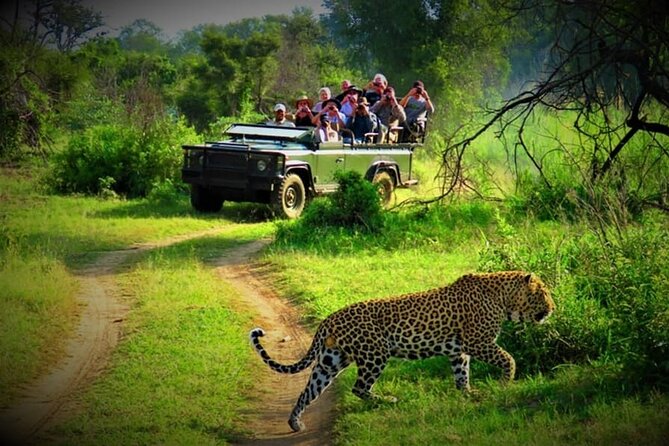 3 Day Chitwan National Park, Jungle Safari Package all Inclusive - Practical Tips for a Smoother Visit