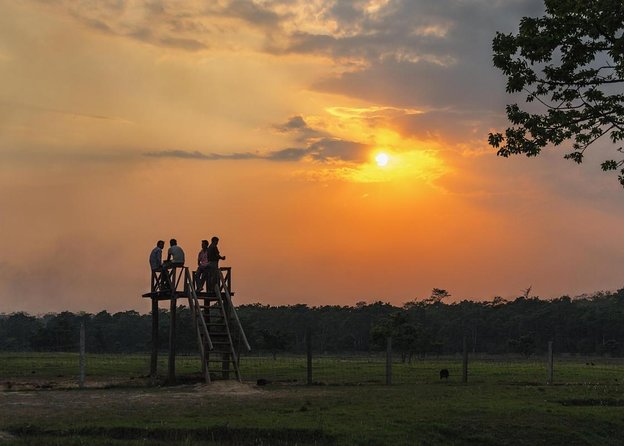 3-Day Chitwan National Park Jungle Safari Tour Package with Pick Up - Key things to know before booking