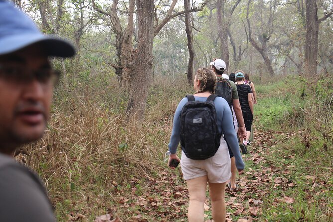 3-Day Chitwan National Park Jungle Safari Tour Package with Pick Up - What the $180 price really covers