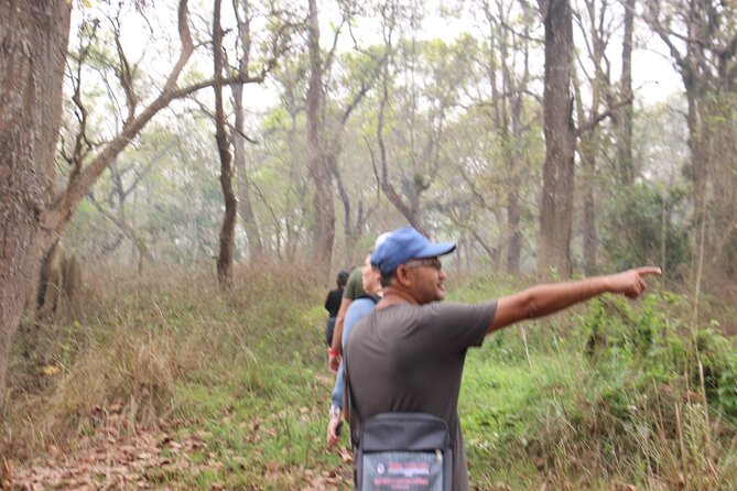 3-Day Chitwan National Park Jungle Safari Tour Package with Pick Up - Day one: arrival, resort check-in, and Tharu culture