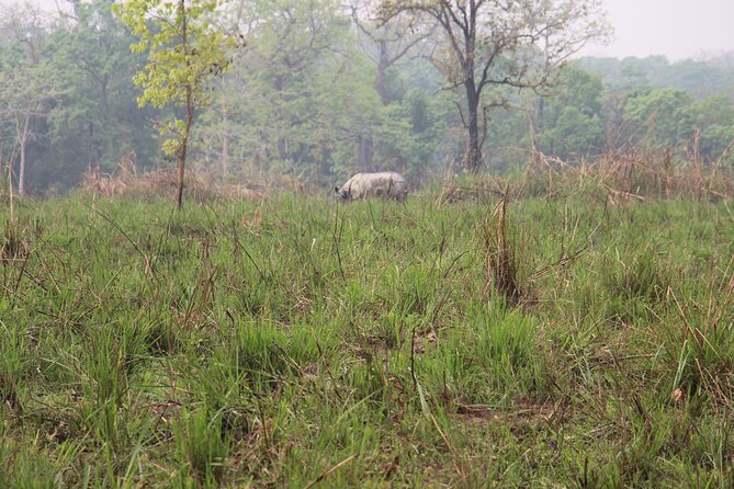 3-Day Chitwan National Park Jungle Safari Tour Package with Pick Up - The resort and included meals