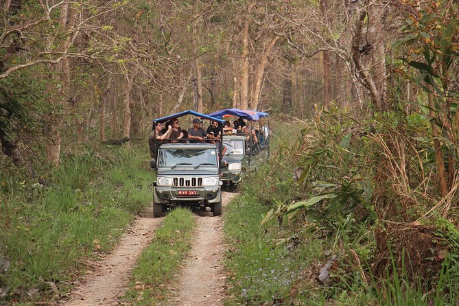 3-Day Chitwan National Park Jungle Safari Tour Package with Pick Up - Who should book this Chitwan package?