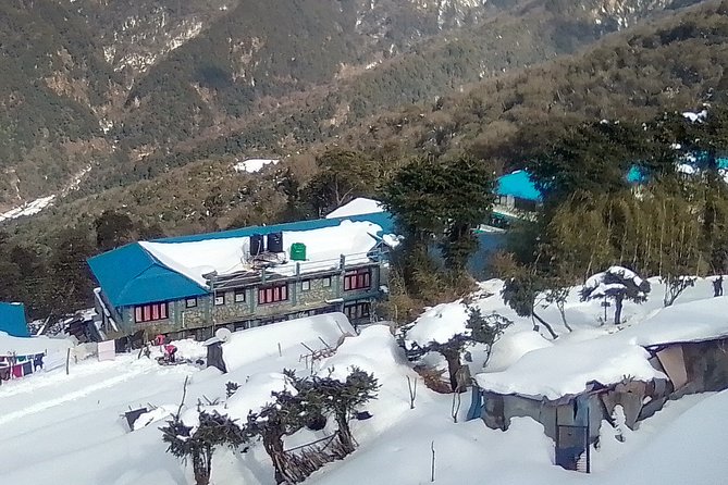 3 Days 2 Nights Poon Hill Trekking - Day two: the early climb to Poon Hill