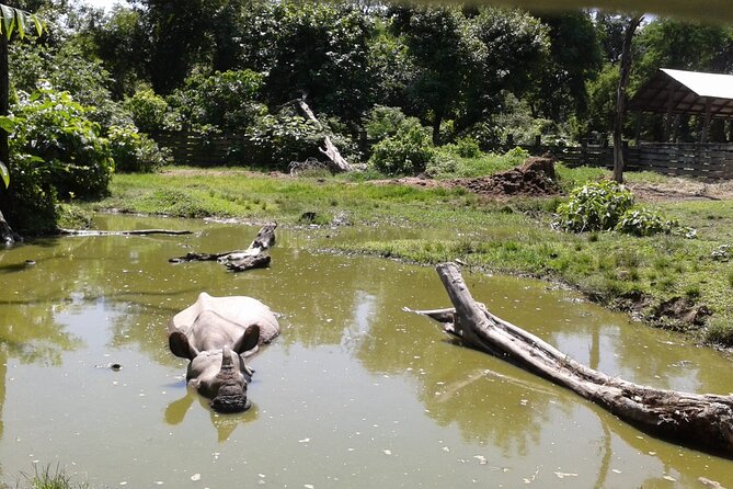 3 Days and 2 Nights Chitwan National Park Safari Tour in Pokhara - Why the guide and group size matter