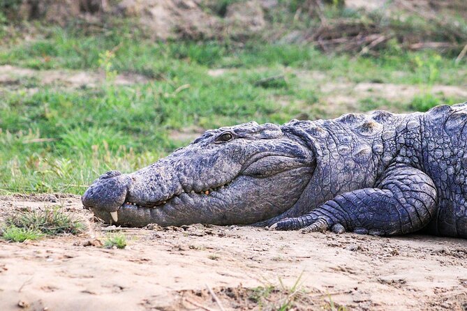 3 Days and 2 Nights Chitwan National Park Safari Tour in Pokhara - Day three and the return journey