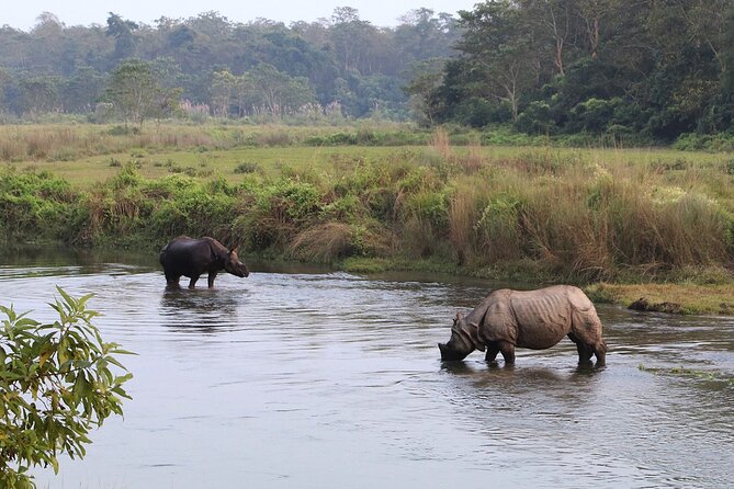 3 Days and 2 Nights Chitwan National Park Safari Tour in Pokhara - Who should book this Chitwan trip?