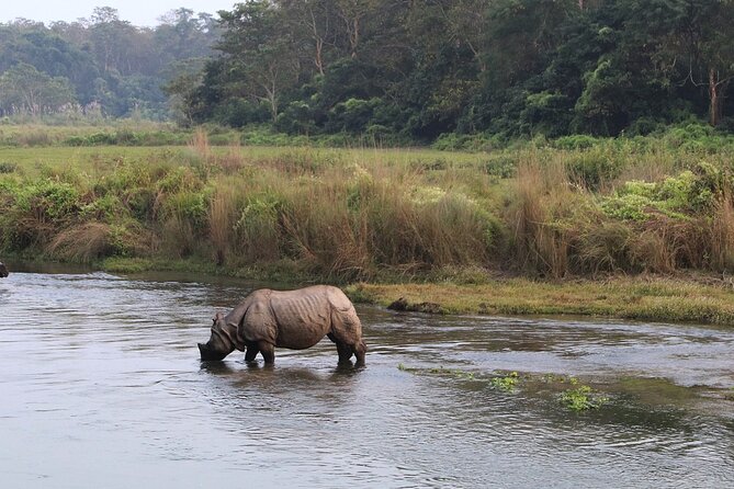 3 Days and 2 Nights Chitwan National Park Safari Tour in Pokhara - Tharu village life and the first evening