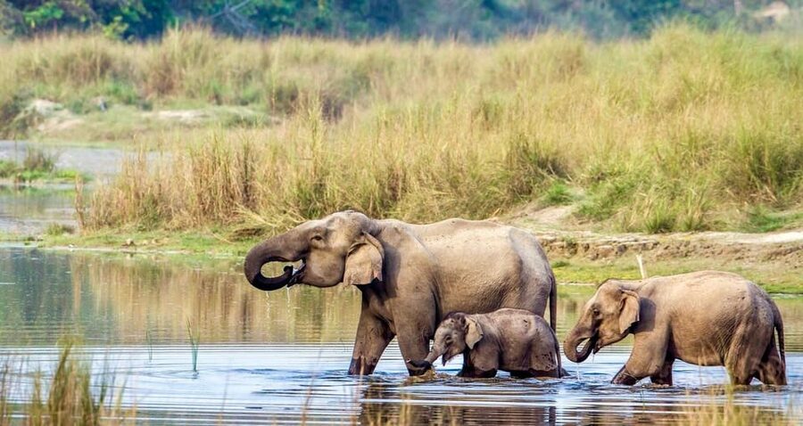 3 Days Chitwan Jungle Tour with Meals - Kathmandu & Pokhara - Canoe trip and the river side of Chitwan