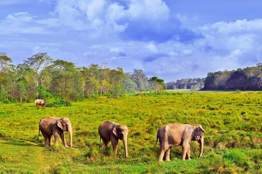 3 Days Chitwan Jungle Tour with Meals - Kathmandu & Pokhara - Meals and the value of the $290 price