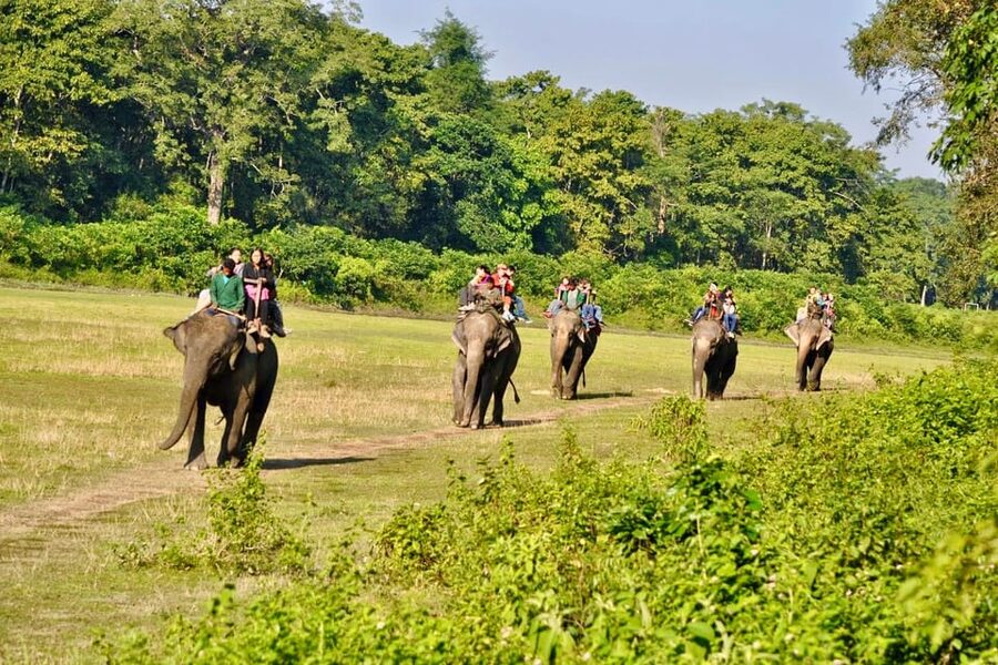 3 Days Chitwan Jungle Tour with Meals - Kathmandu & Pokhara - The elephant welfare question