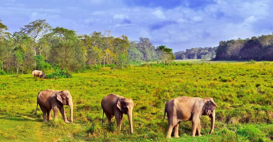 3 Days Chitwan Jungle Tour with Meals - Kathmandu & Pokhara - The five-hour road trip from Kathmandu or Pokhara