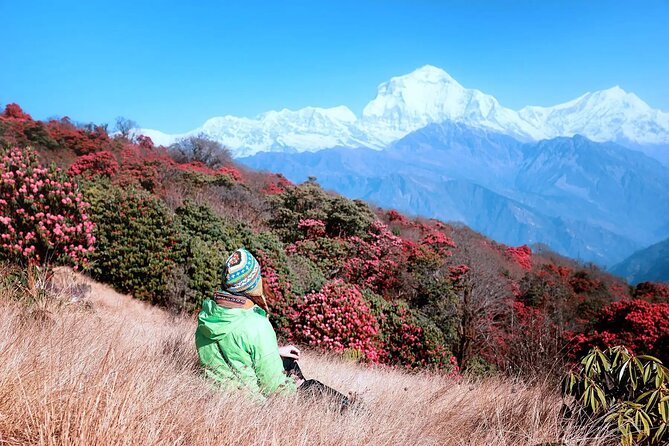 3 Days Ghorepani and Poonhill Private Trek from Pokhara - Who should book this three-day route?