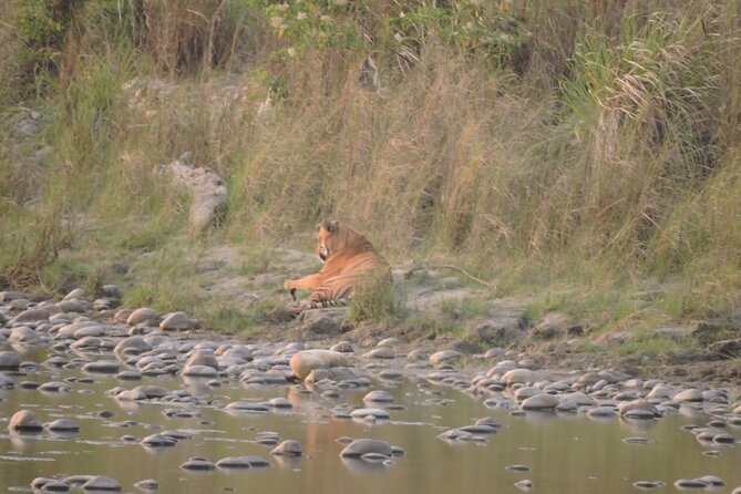 3 Nights 4 Days Bardia Tiger Tracking Tour | Bardia Jungle Safari - Private touring and the pace of the safari