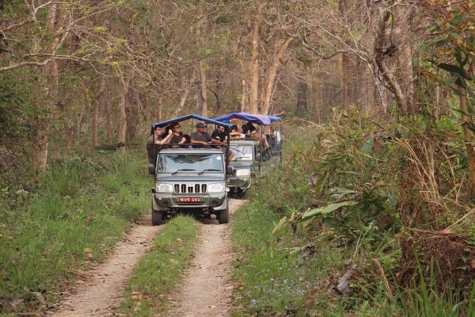 3 Nights 4 Days Chitwan National Park with Tower Night Stay - Day 1: Tharu culture and sunset beside the Rapti River