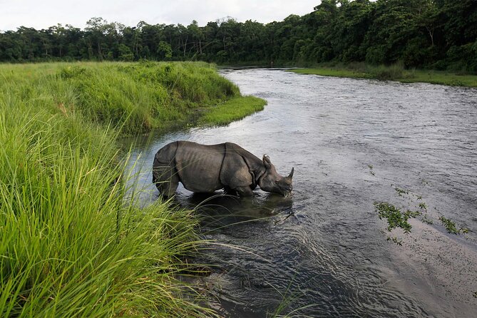 3 Nights 4 Days Chitwan National Park with Tower Night Stay - Day 3: The main jeep safari and crocodile center