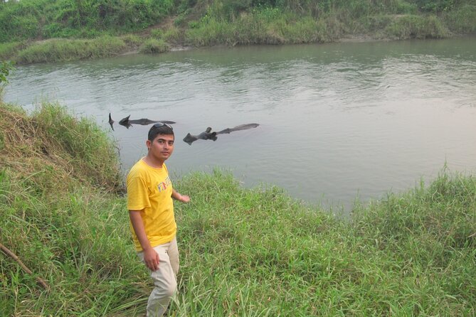 3 Nights 4 Days Chitwan National Park with Tower Night Stay - Why the mixed activities work well