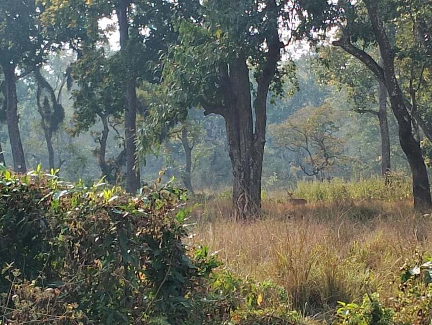 3 Nights 4 Days Chitwan National Park with Tower Night Stay - Who will enjoy this four-day program
