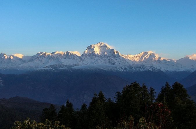 4 Day Mulde Trek from Pokhara - Day 4: From Ghandruk to Nayapul and back to Pokhara