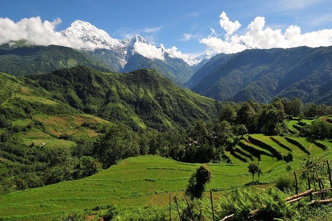 4-day Poon Hill Trek - Teahouse accommodation and the daily rhythm