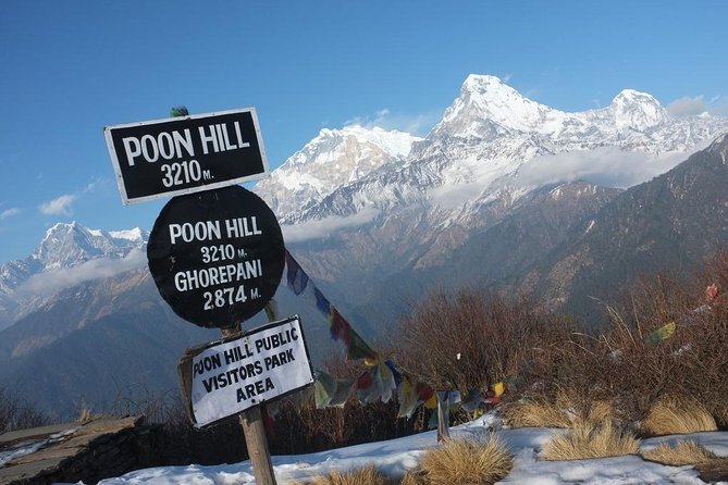 4-day Poon Hill Trek - How much value you get for $400