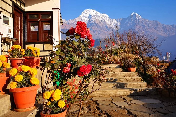 4-Day Private Poon Hill Trekking Tour - Day three: The early climb to Poon Hill at 3,210 meters