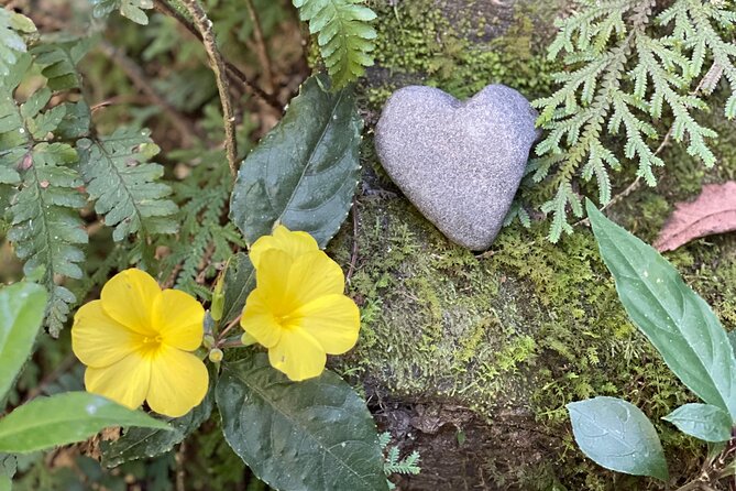 4 Day Yoga Hiking and Sound Healing Retreat in Nepal - Key Points About This Nagarkot Retreat