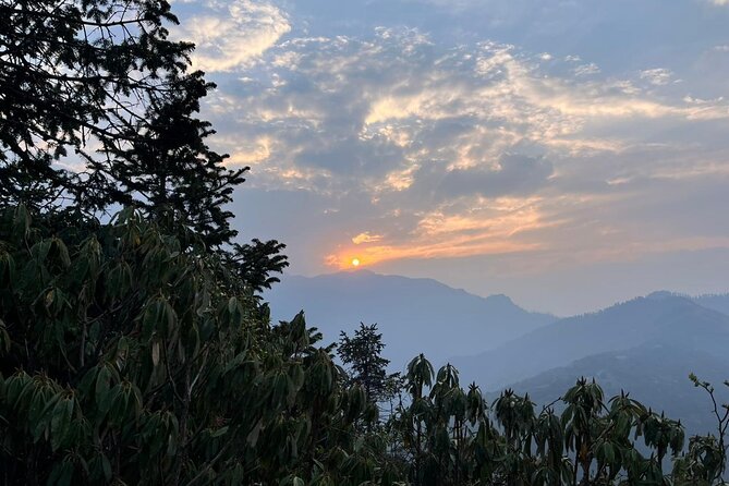 4 Days 3 Nights at Ghorepani Poon Hill Trek - Rhododendron forests soften the hard walking