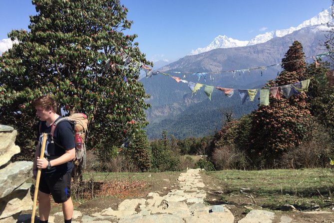 4 Days Poon Hill Trek from Pokhara - Day 4: Tadapani, Ghandruk, and the ride back