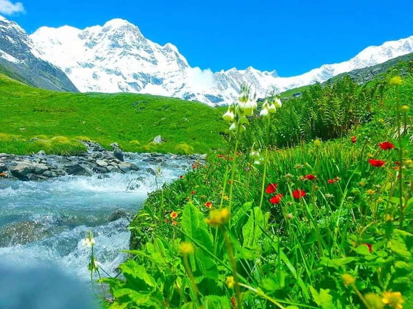 5 Days Annapurna Base Camp Trek - Guide support, luggage, and group style