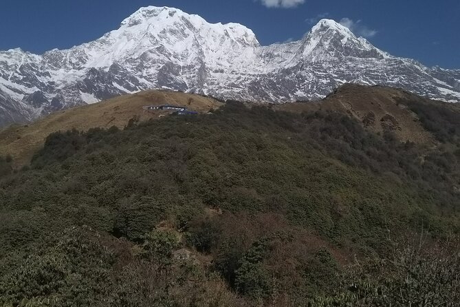 5 Days Mardi Himal Trek - Day 5: Down to Siding or Kalimati, then back to Pokhara