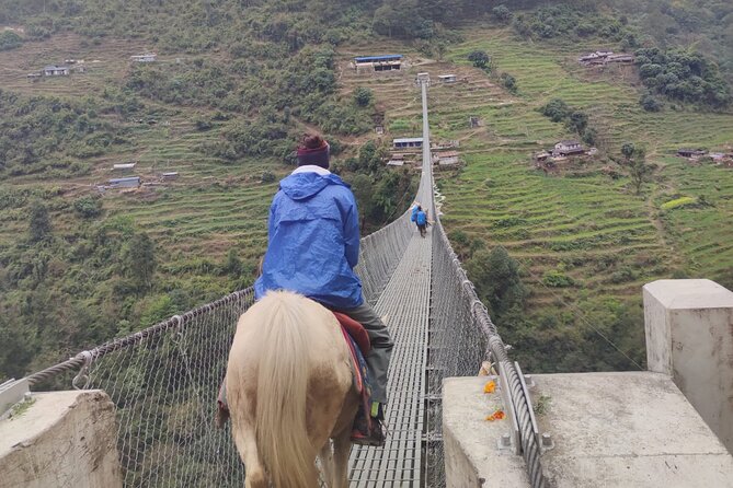 6 days Annapurna Basecamp Trek - Day three: Modi River, Dovan, and rhododendron forest