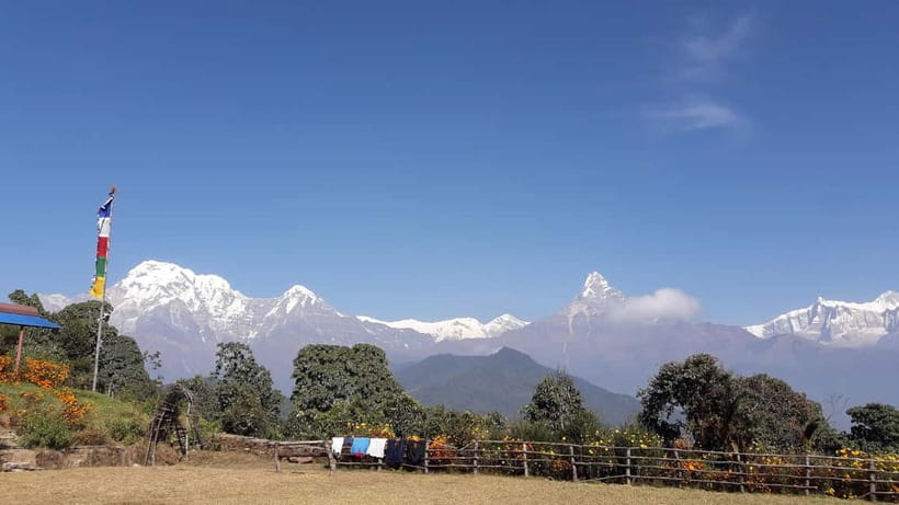 7 Day Himalayan Highlights: Culture, Mountain, Jungle Safari - Day Six: Canoe, Elephant Breeding Center, and Jeep Safari