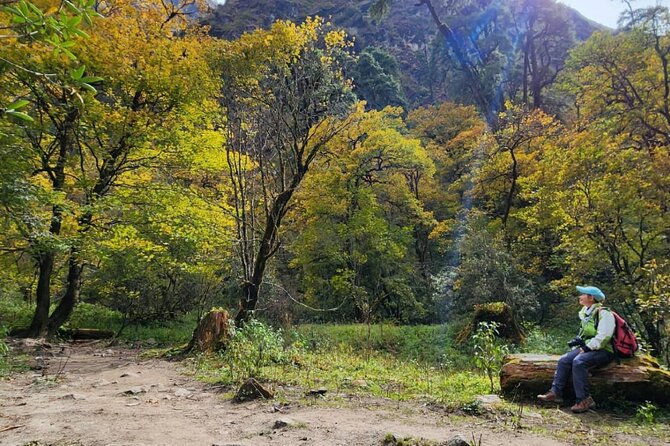 7-Day Langtang Valley Trek from Kathmandu - Day 2: Forest trails and the Lama Hotel