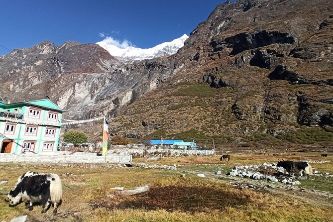 7-Day Langtang Valley Trek from Kathmandu - Day 6: Lama Hotel to Syabru Besi