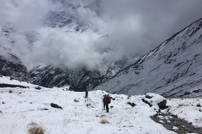 7 Days Annapurna Base Camp Trek from Pokhara - Day 4: Machhapuchhare Base Camp and Annapurna Base Camp