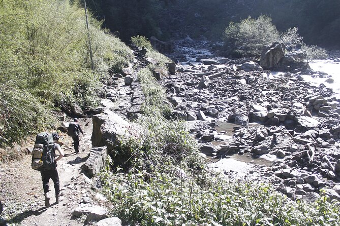 7 Days Langtang Valley Trek from Kathmandu - Day 3: Forest, river features, and Langtang views