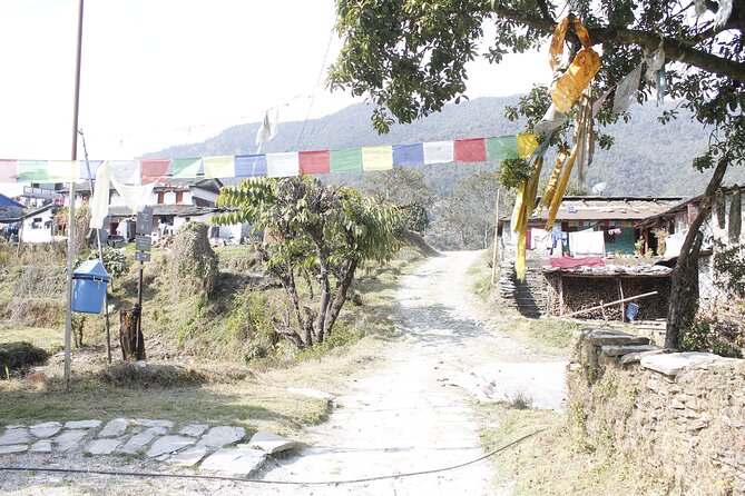 7 Days Langtang Valley Trek from Kathmandu - Day 6: Lama Hotel to Syabrubesi