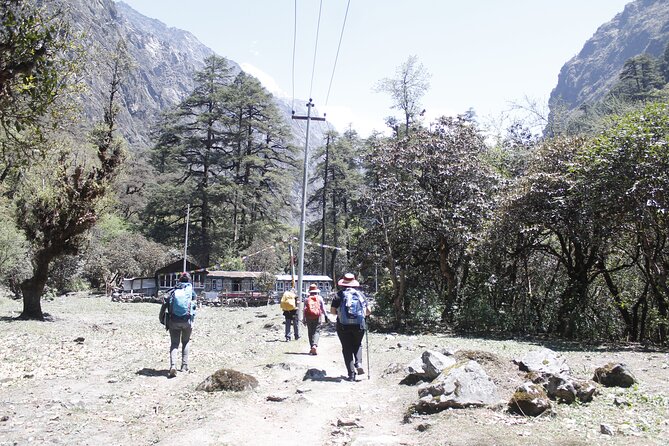 7 Days Langtang Valley Trek from Kathmandu - Day 7: Return to Kathmandu