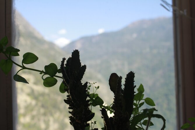 7 Days Tour on Poon Hill Trek and Chitwan Jungle Safari - Day 5: The road south to Chitwan