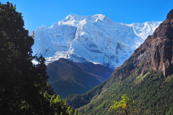 8 Days Private Guided Trekking in Annapurna Circuit with Pickup - Day 4: Manang rest day and Gangapurna Lake