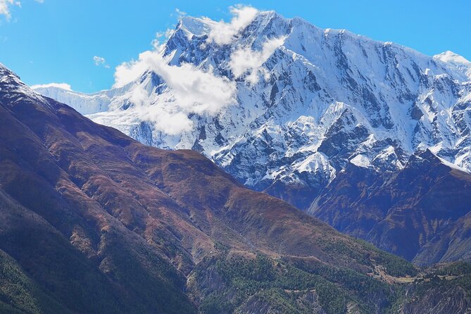 8 Days Private Guided Trekking in Annapurna Circuit with Pickup - Day 5: Letdar and Yak Kharka