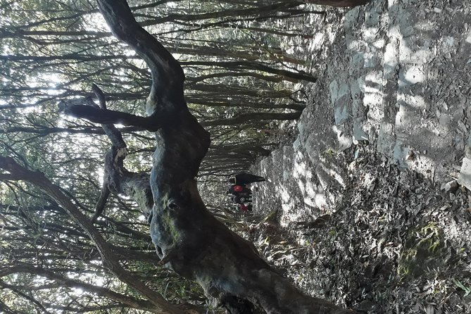 A day hike from Kathmandu to Bagadwaar - Walking the Old Shivapuri Patrol Trail