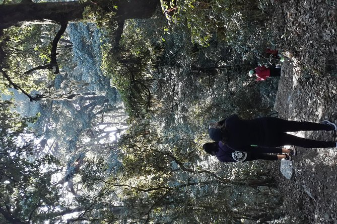 A day hike from Kathmandu to Bagadwaar - Who Will Enjoy This Day Most